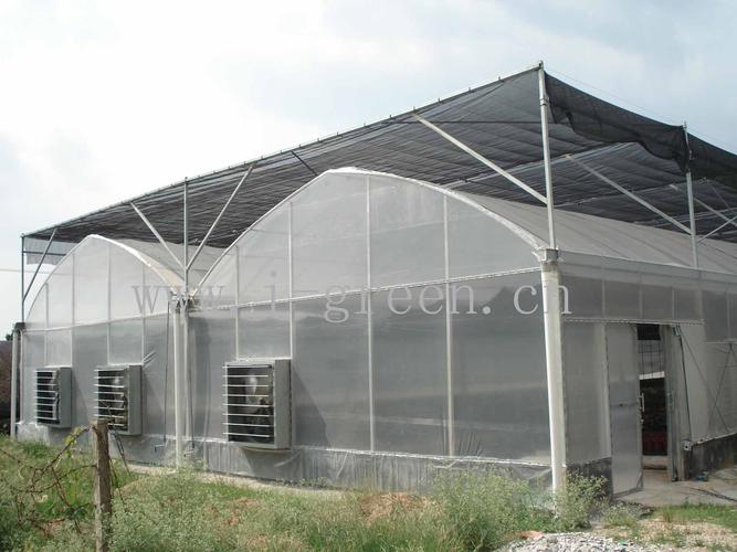 福建花卉大棚制造销售厂家
